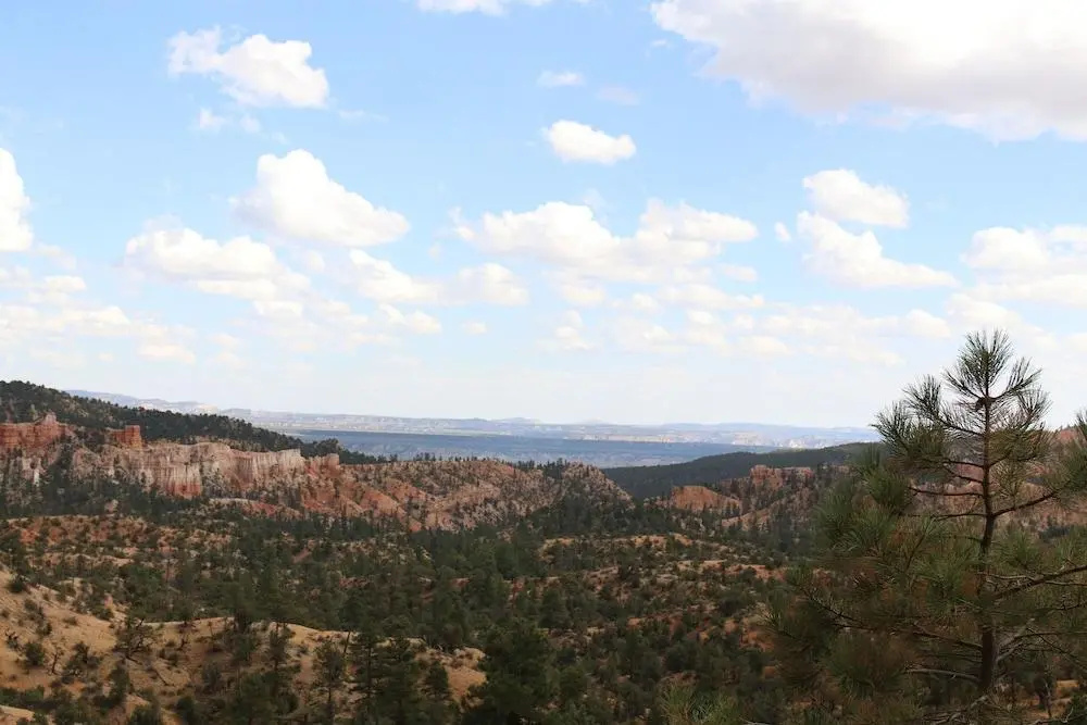 Escalante Escapes