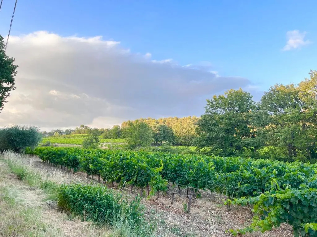 Voir la photo 3 — T2 avec terrasse arborée proche LOURMARIN