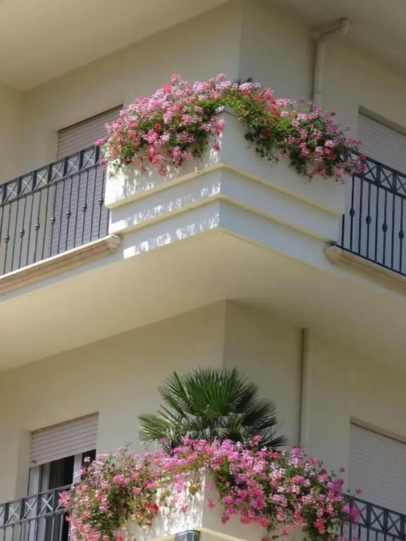 Hotel Luciana