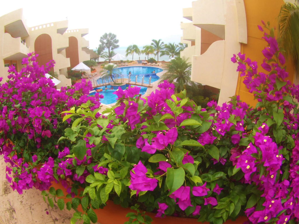Star Bay Suites Resort - Général