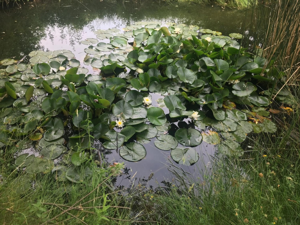 La Yurta de Gaia