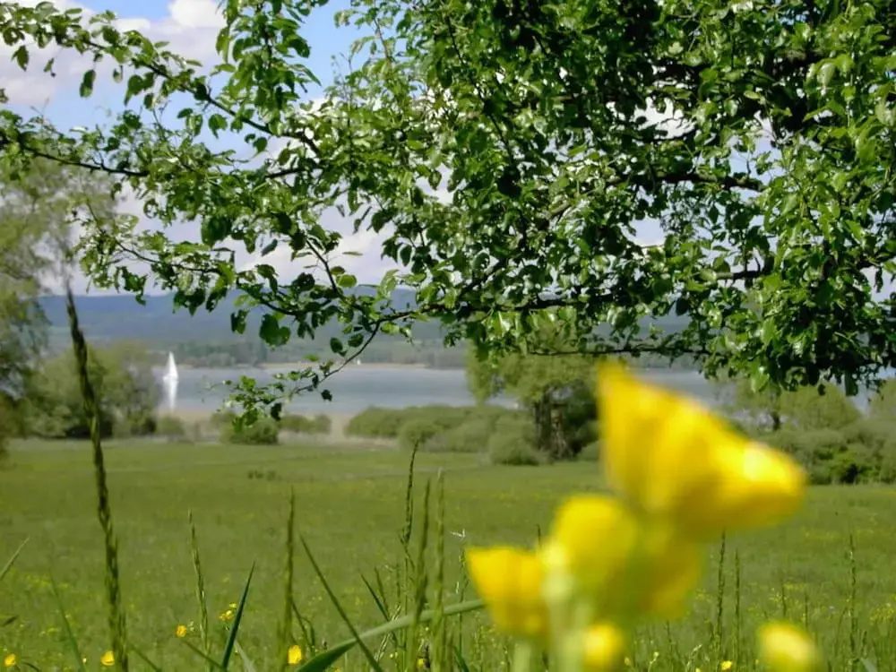 Boardinghouse Bodensee