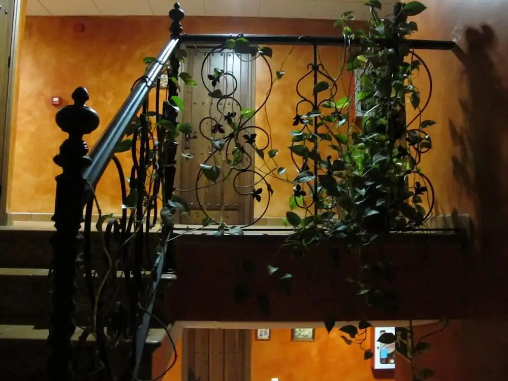 Hotel photo 12