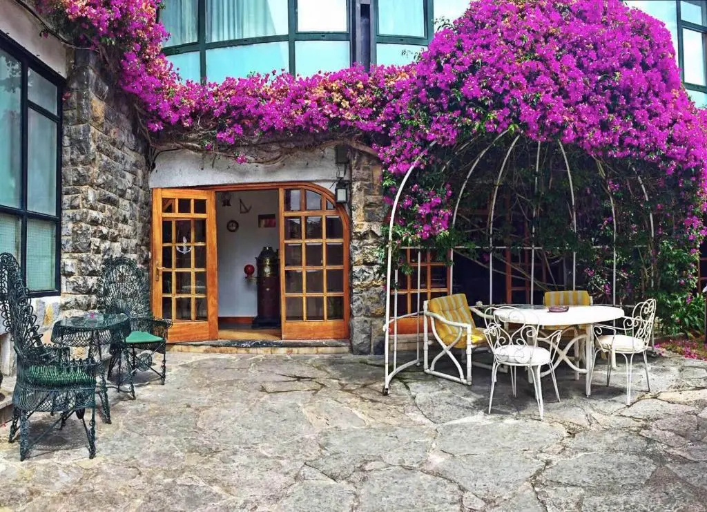 Standard Single room with garden view