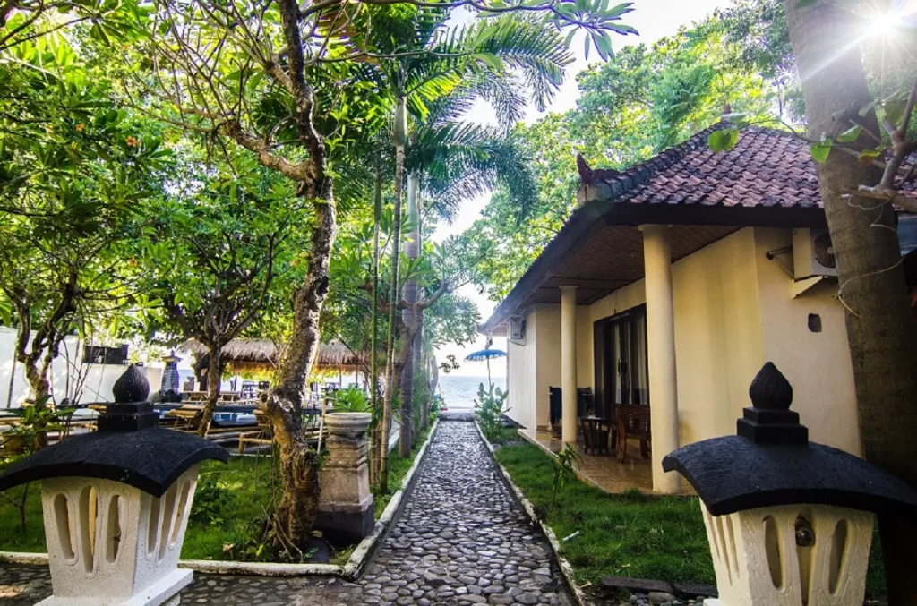 Rising Star Dive Resort - Chambres