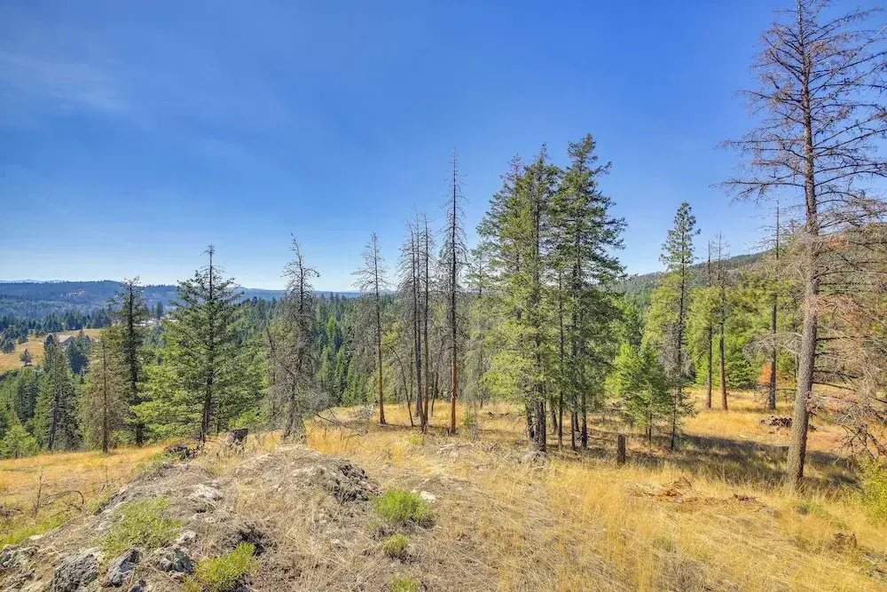 Spacious Priest River Retreat: 35 Mi to Schweitzer