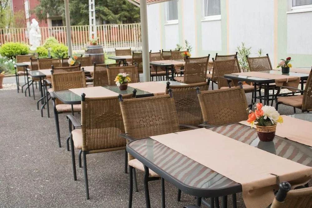 Komfort Hotel Platán - Général