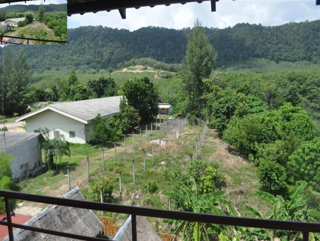 Standard Double room with mountain view (full double bed)