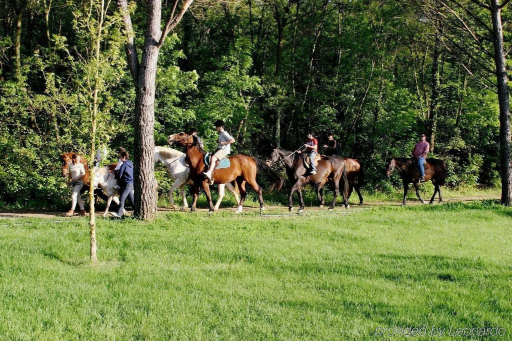 Montebelli Agriturismo & Country Hotel - Général