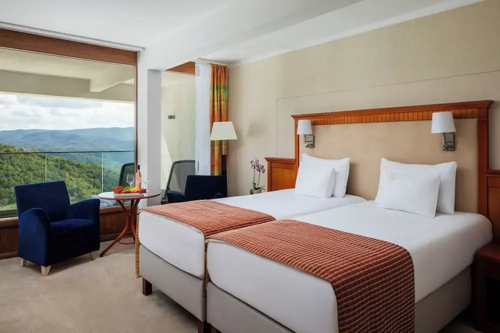 Superior Double room with balcony and with river view (full double bed)