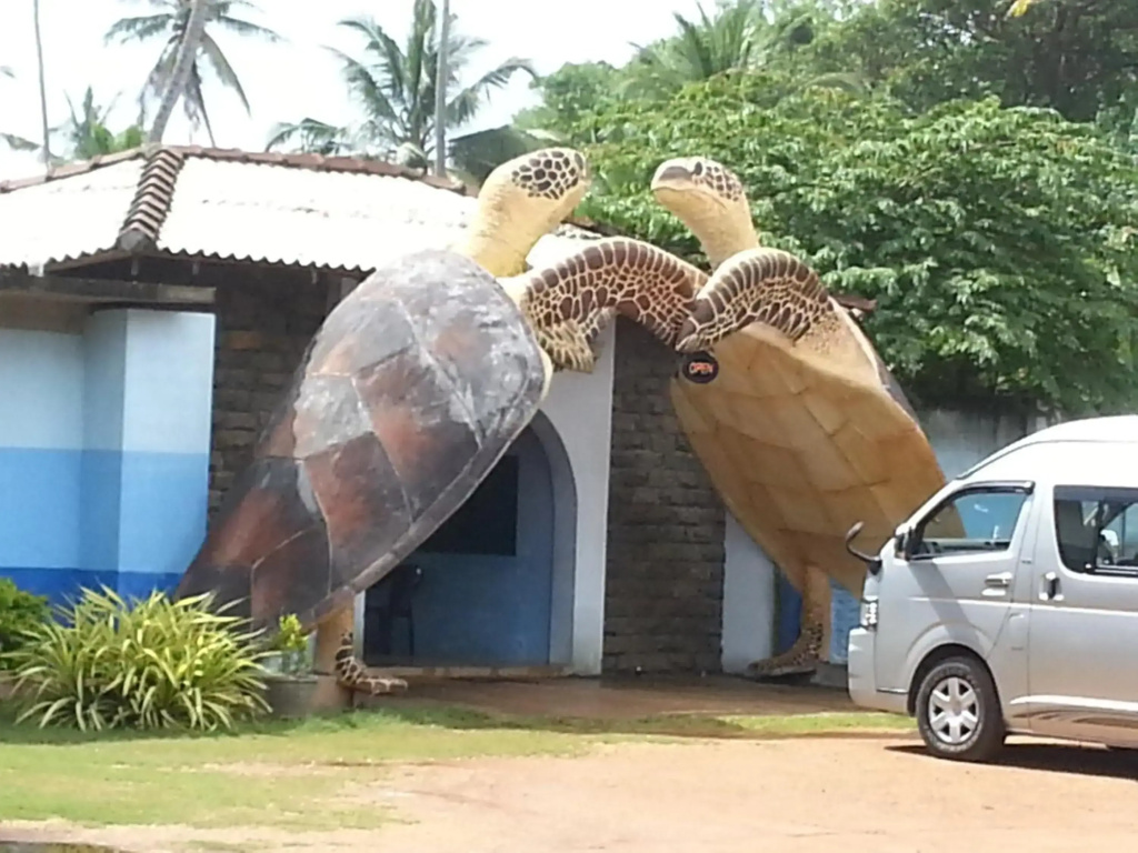 NiYuNi Villas