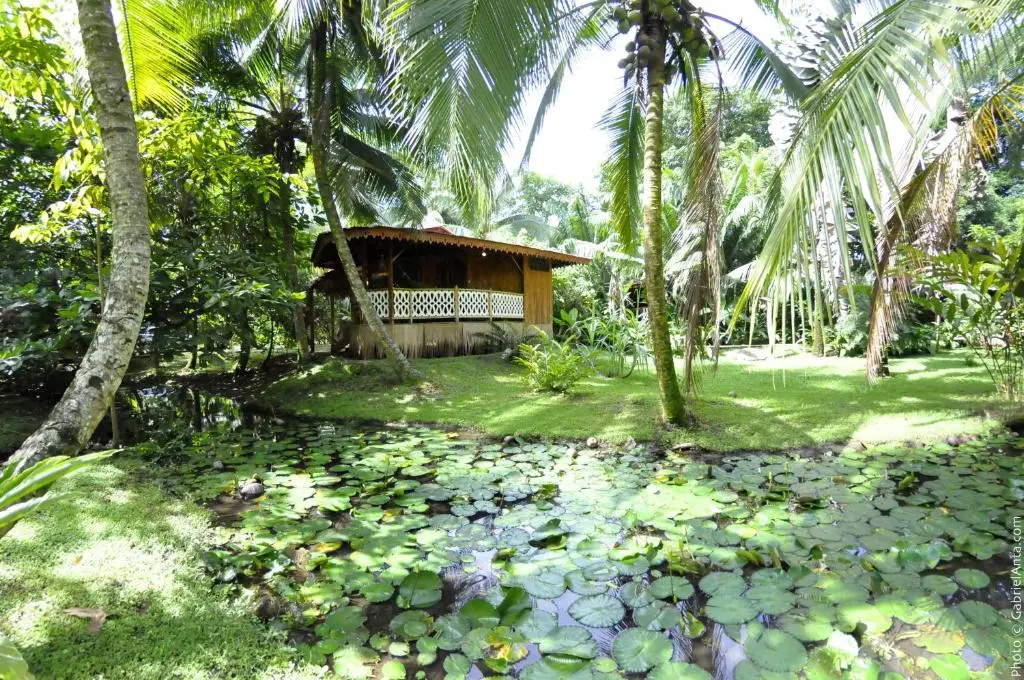 Hotel photo 34