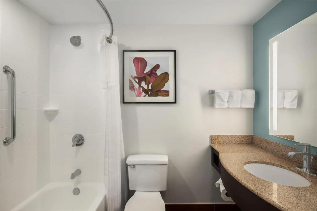 Hilton Garden Inn Tampa North Busch Gardens - Général