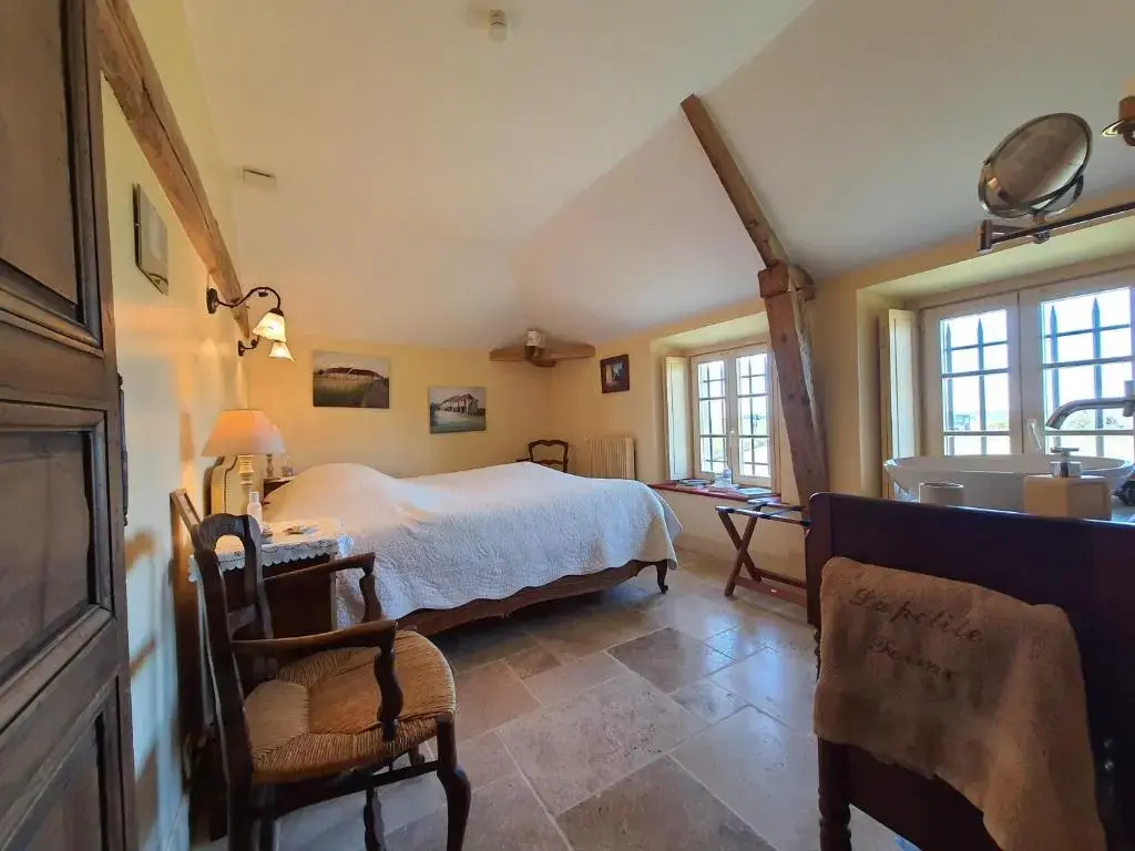 Standard Double room (full double bed)