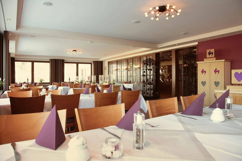 Wald Hotel Willingen - Général
