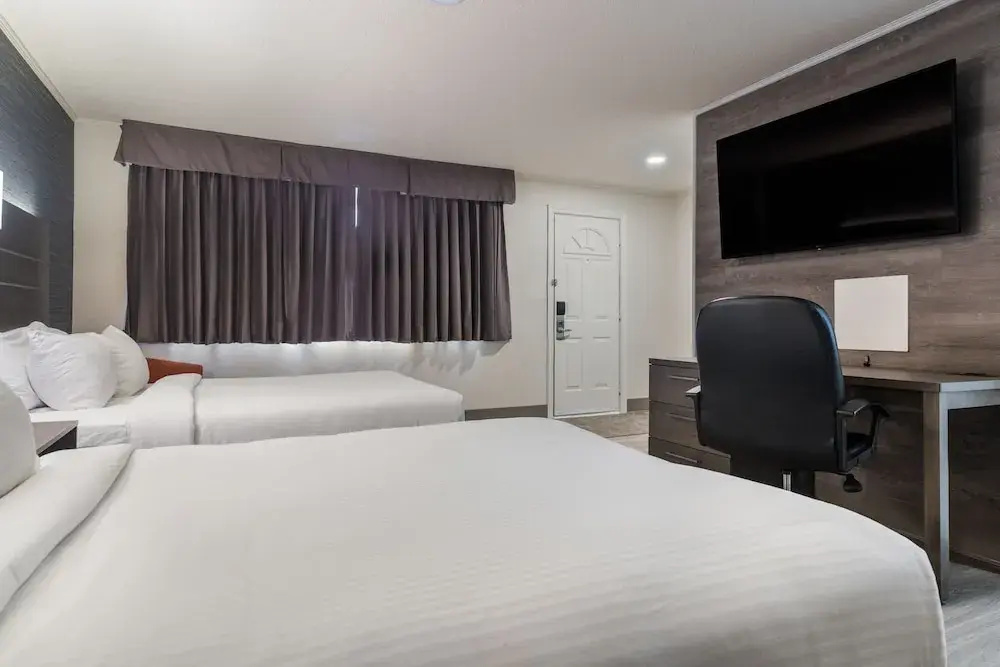 Hotel photo 7