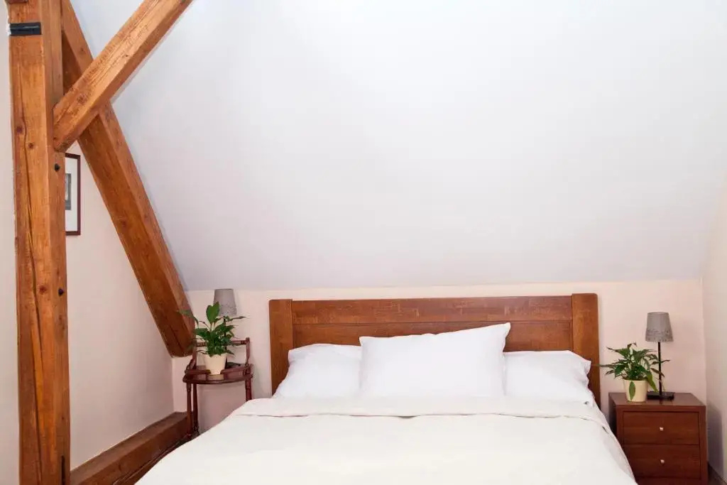 Hotel U Zlateho lva - Chambres