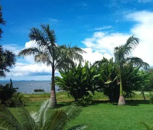 Beach & Waterfront