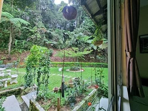 Arundina Cameron Highlands