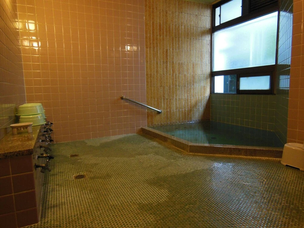 Hayakawa Economy Inn 사진 17