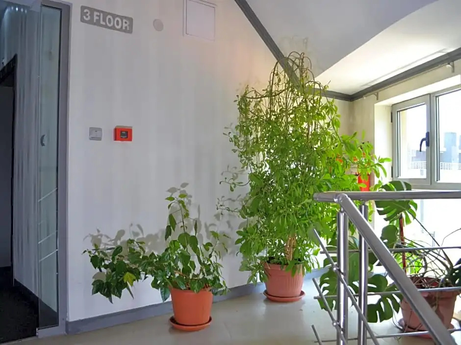 Elate Plaza Business Hotel - Chambres