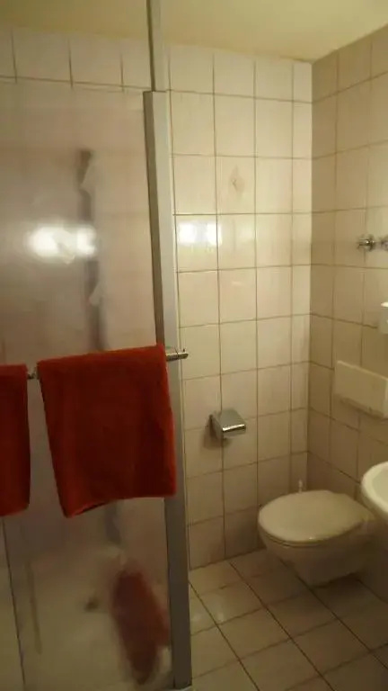 Hotel Krone - Chambres