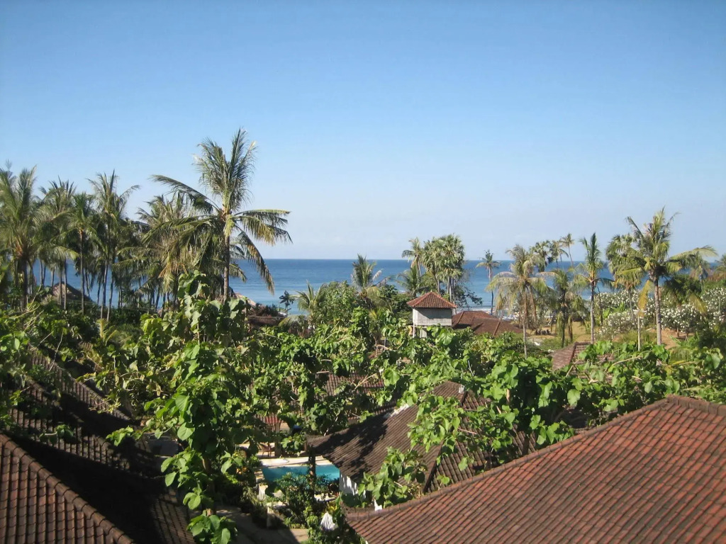 Image 11
