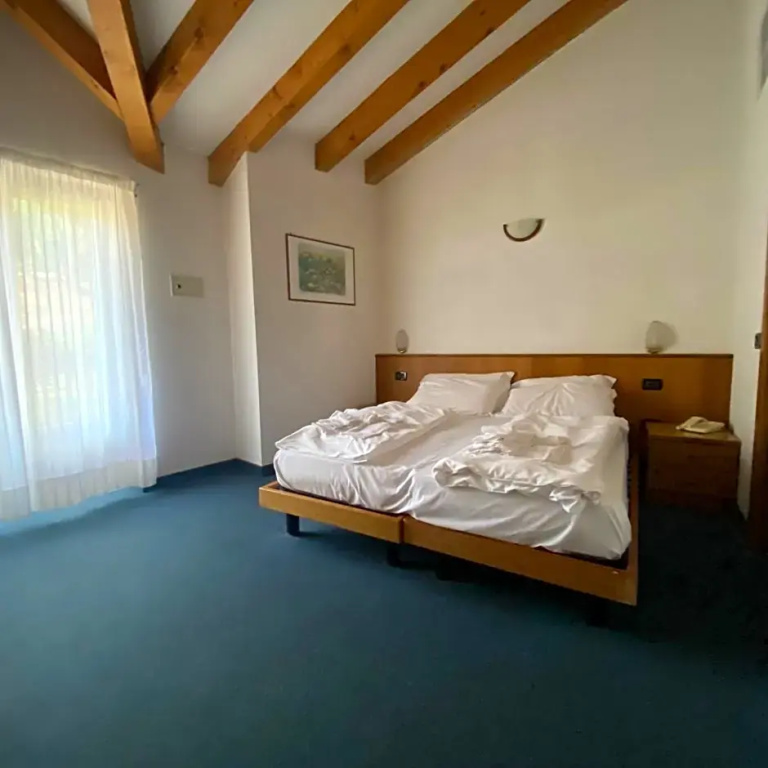 Standard Double room with mountain view (full double bed)