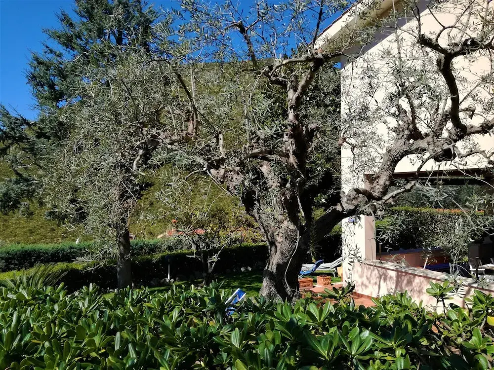 Villa Galatea Sperlongaresort