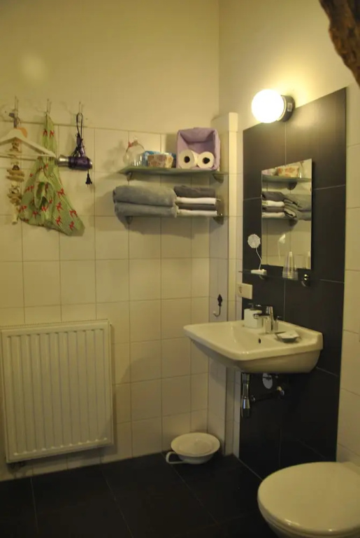 Comfort Double room (twin beds)