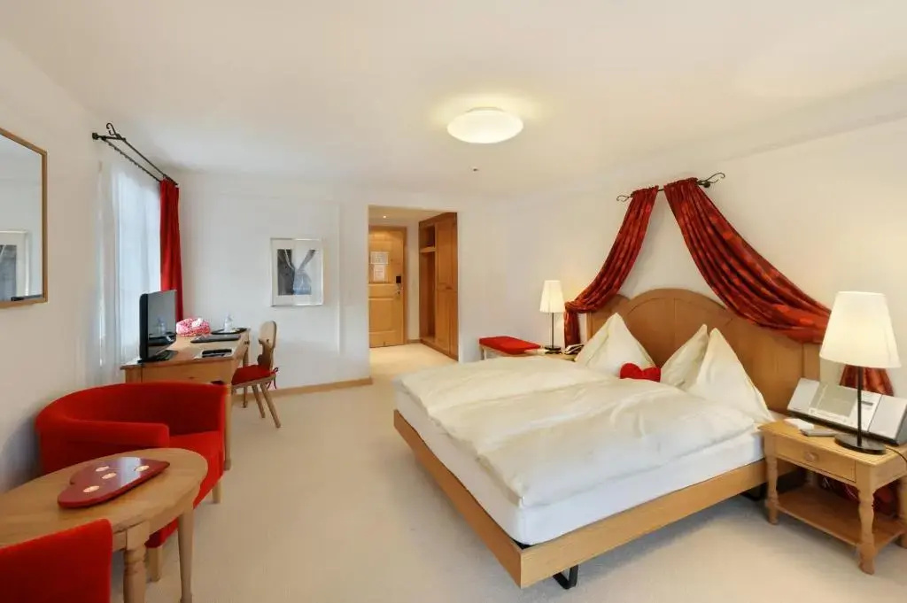 Standard Double room (full double bed)