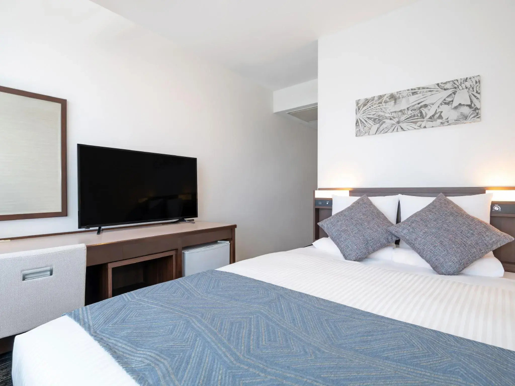 Standard Double room (full double bed)