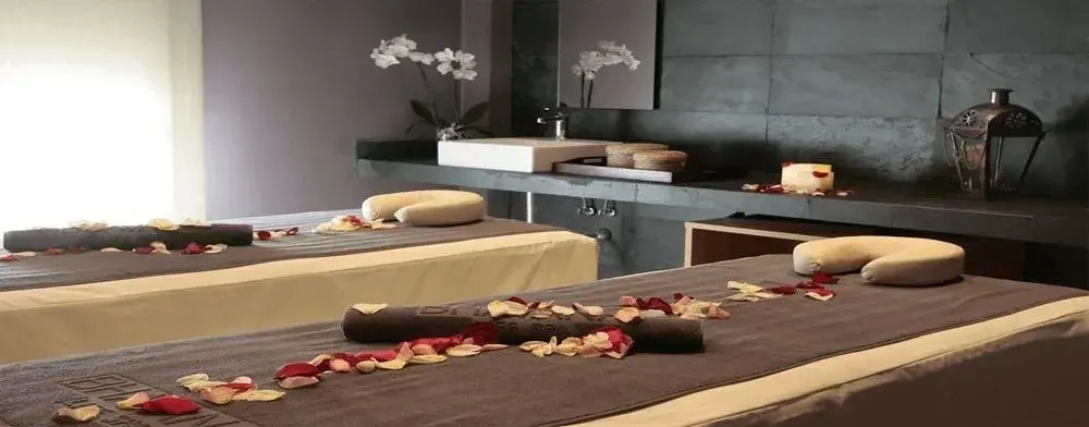 Santara Wellness Resort - Général