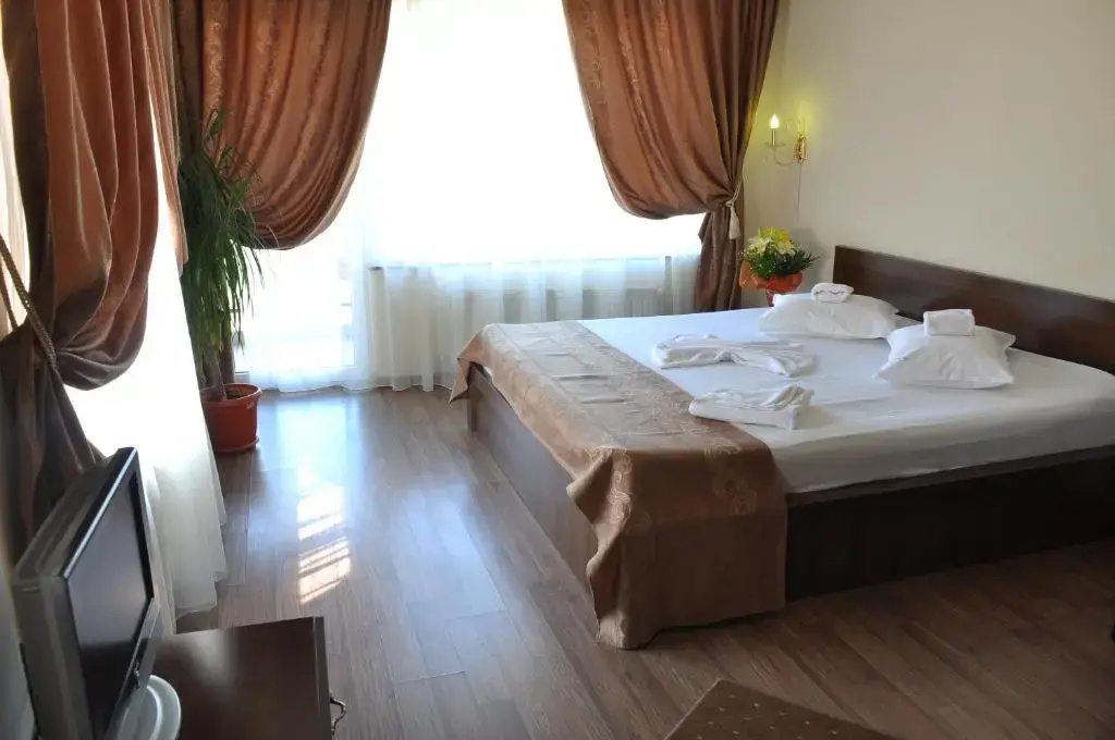 Ave Hotel Victoriei - Général
