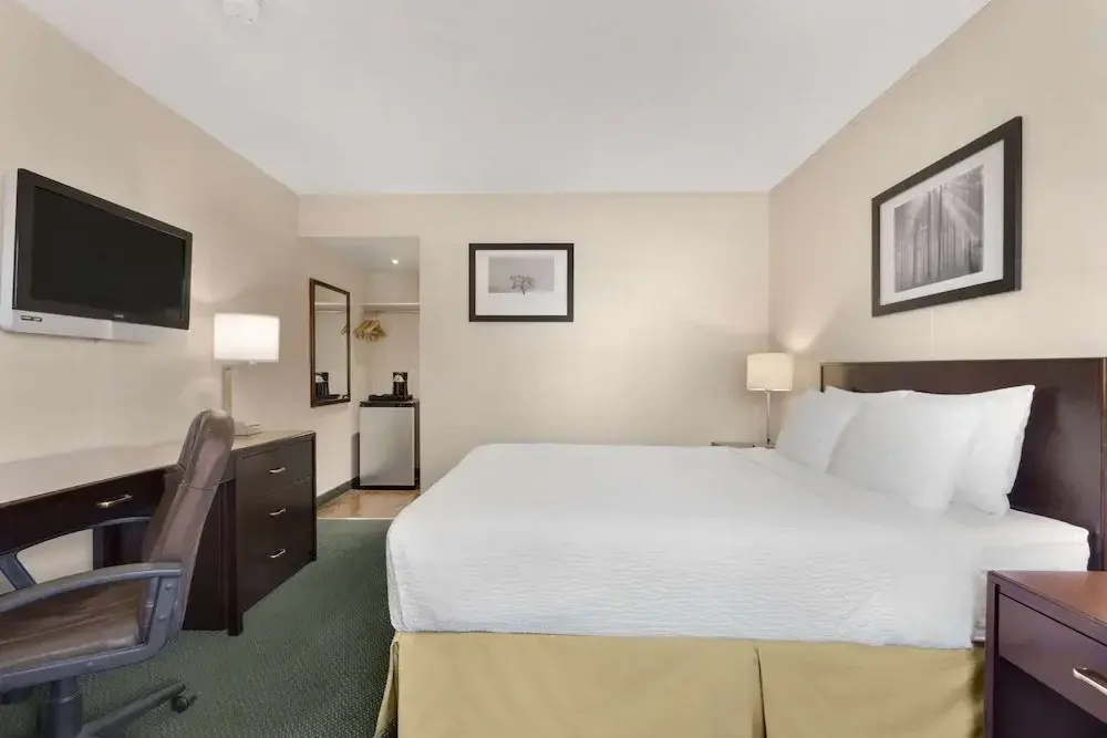 Standard Double room with courtyard view (full double bed)