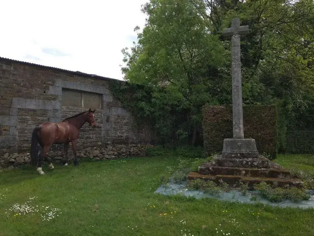 Afficher la photo 8 — Haras De La Croix D'argent