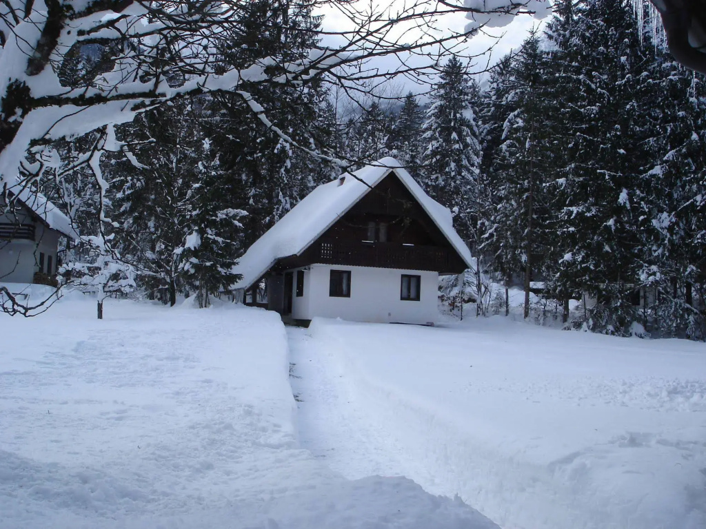 Apartments Lake Bohinj