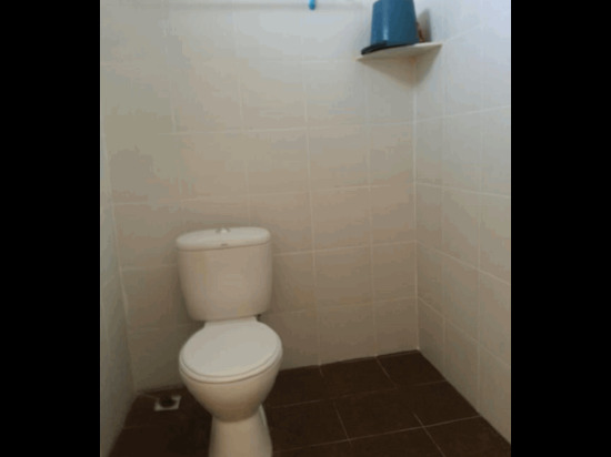 Gelam Inn Motel Langkawi