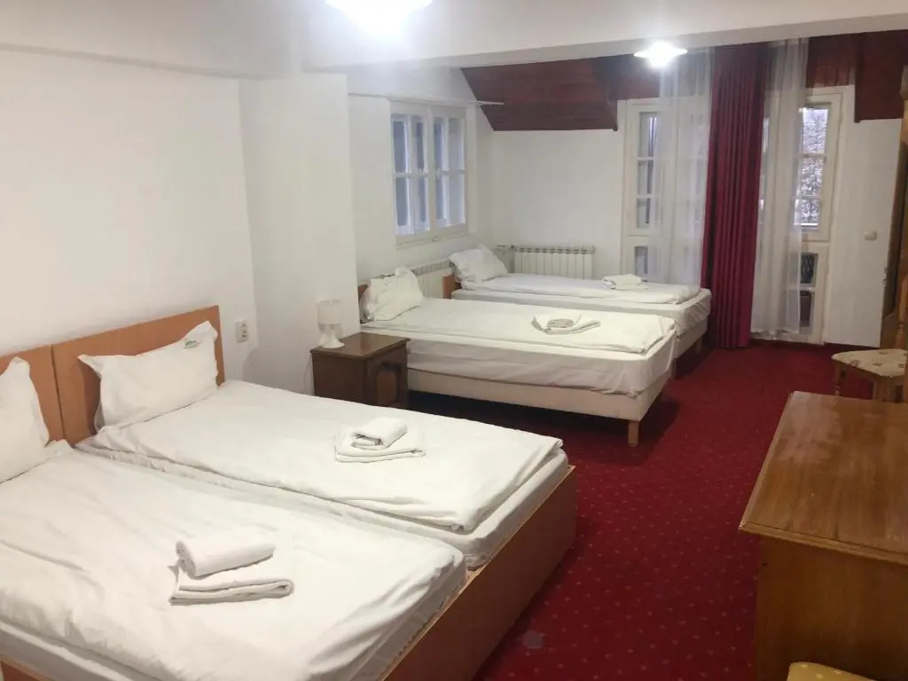 Standard Quadruple room with mountain view