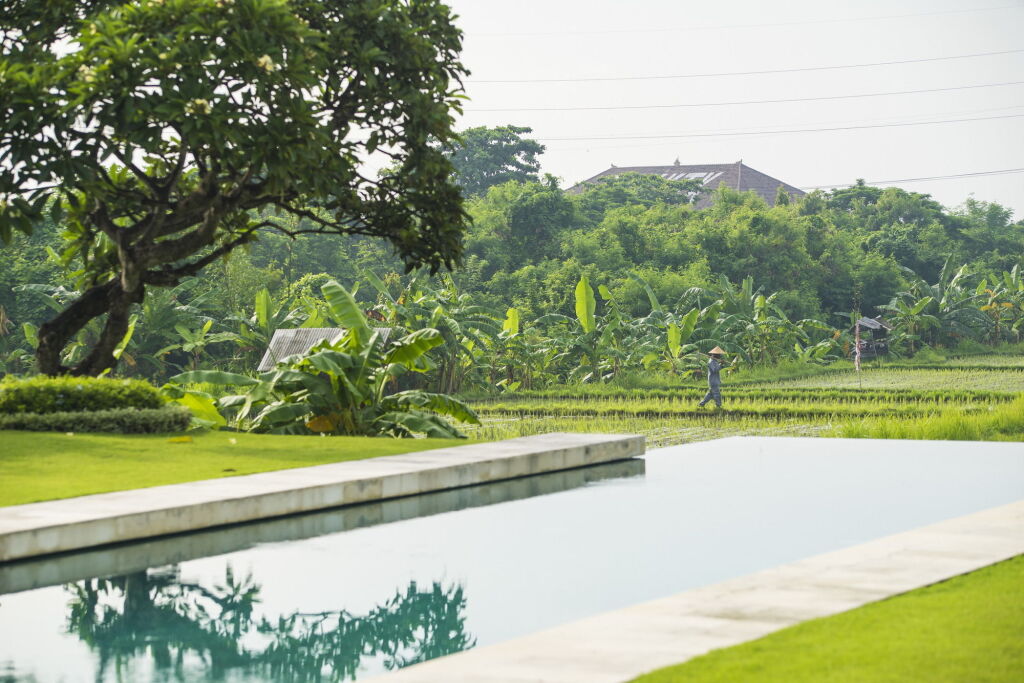 The Samata