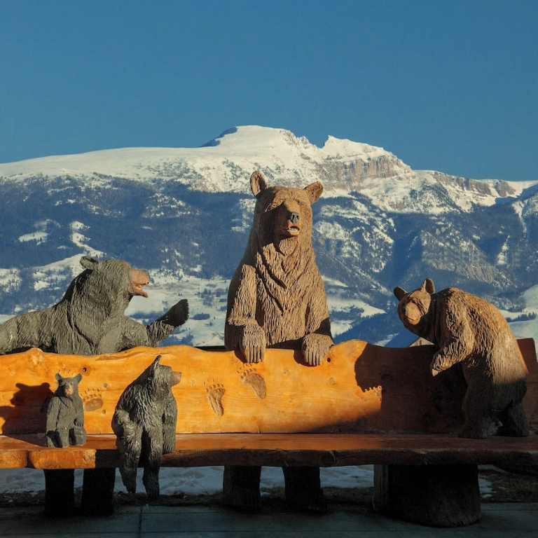 Faraway Jackson Hole - Chambres