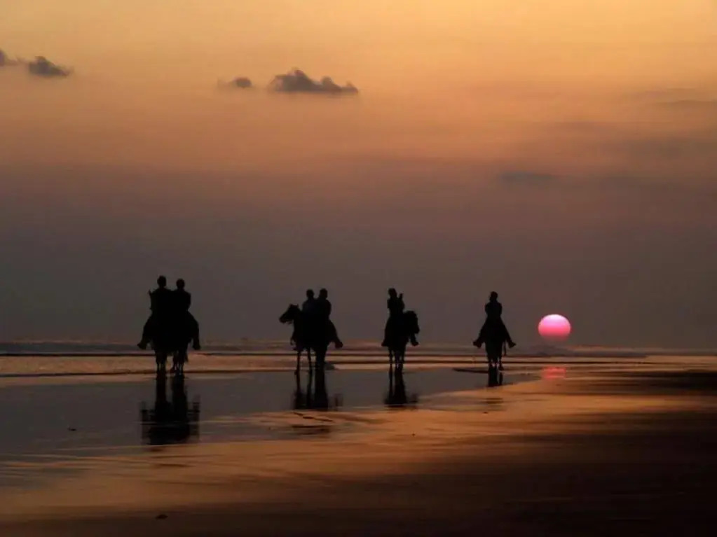 Hotel La Isla - фото 13