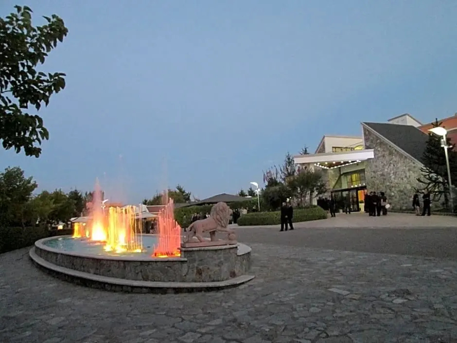 Palahotel Vallenoce