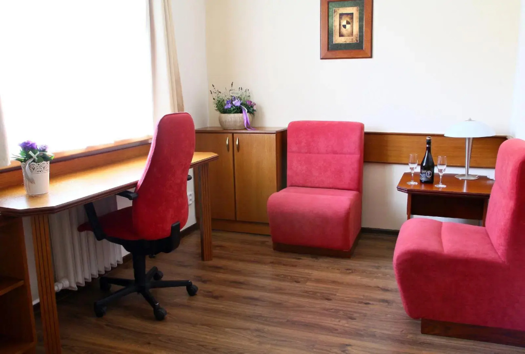 Hotel Baltaci U Náhonu - Général