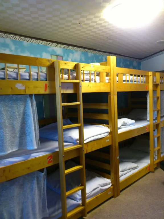 Bed in Dorm (female dorm)