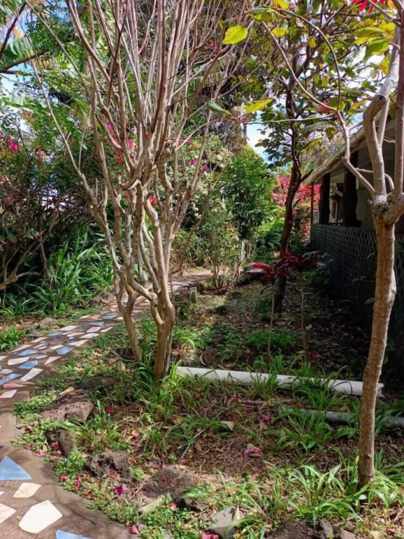 Hotel photo 32