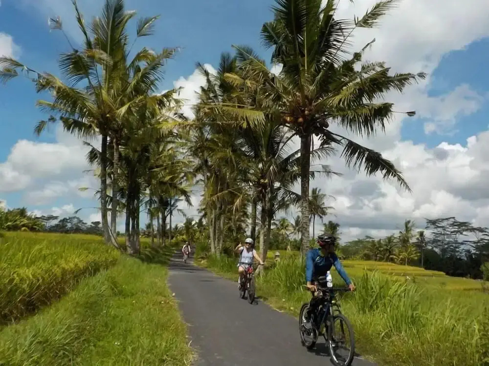 Taluh Bebek Ubud Private Villas