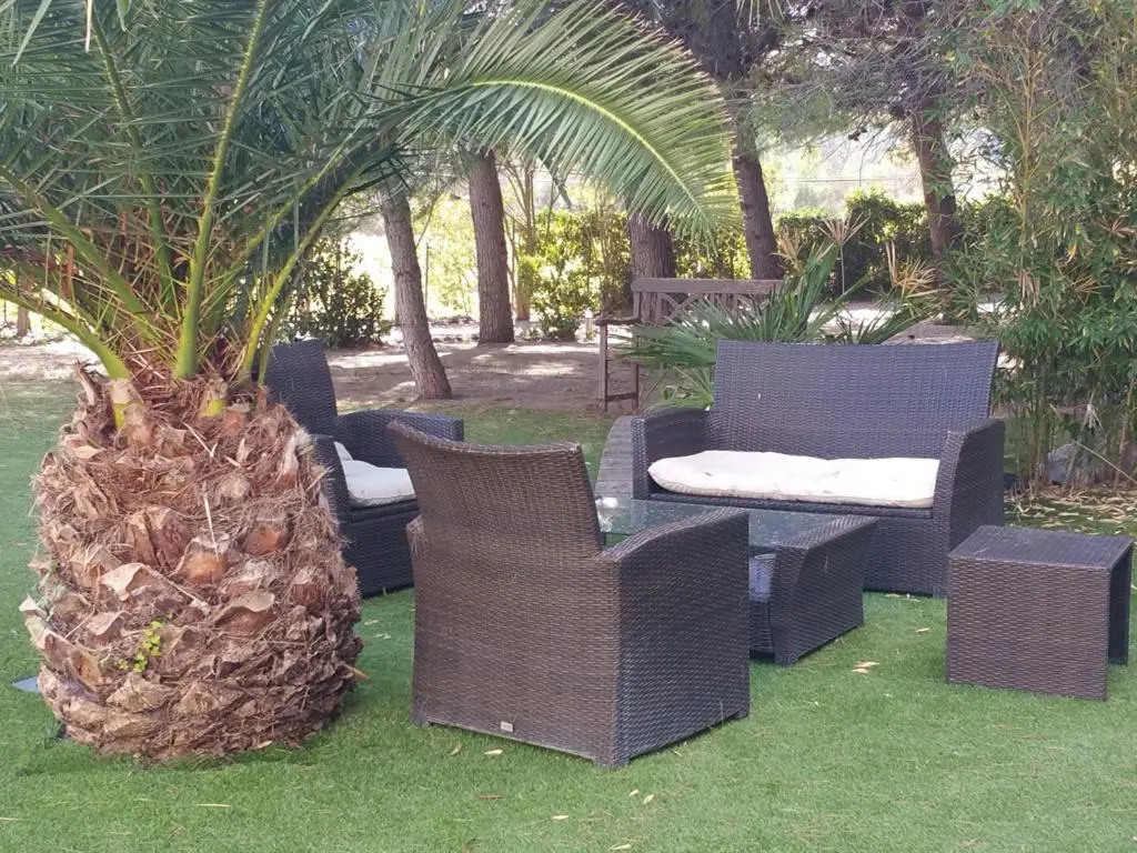 Hotel photo 12