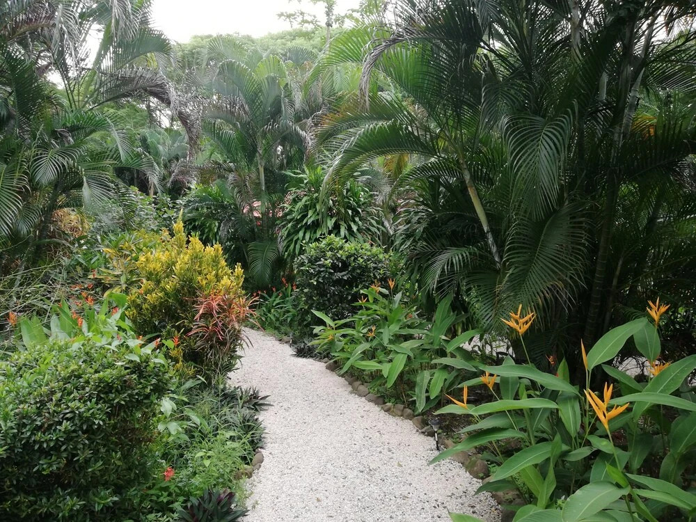 Mundo Goub'Art - фото 10