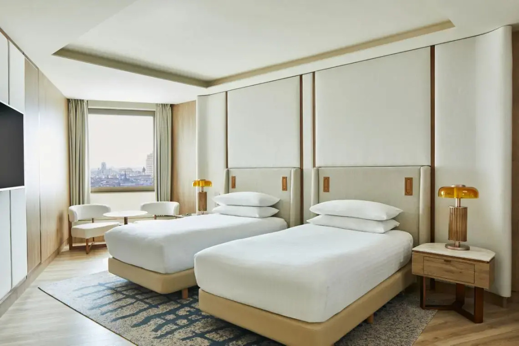 Superior Double room with city view (twin beds)